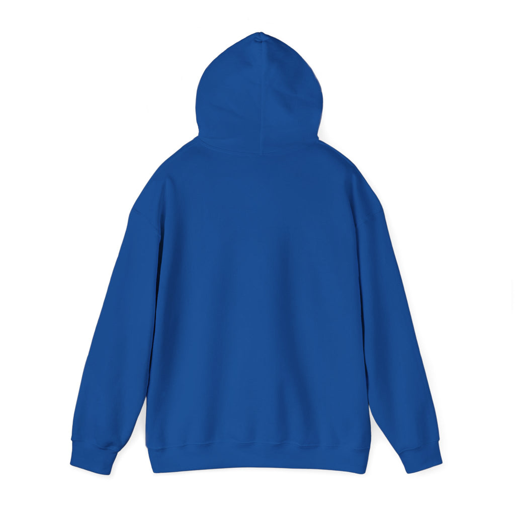 Blue Hooded Sweatshirt