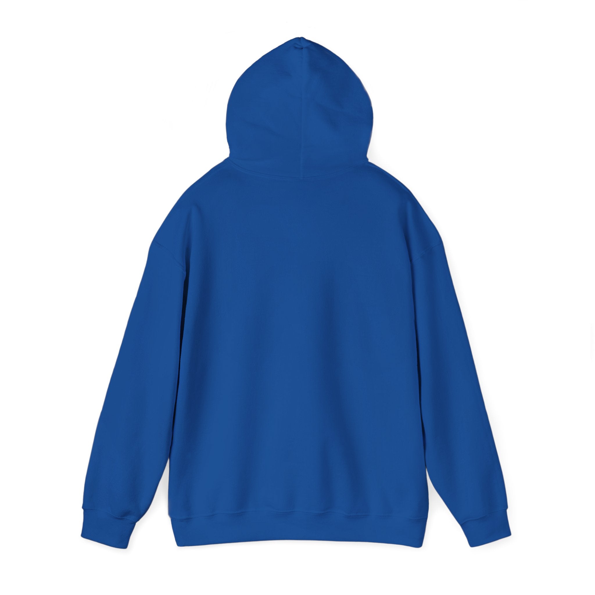 Blue Hooded Sweatshirt